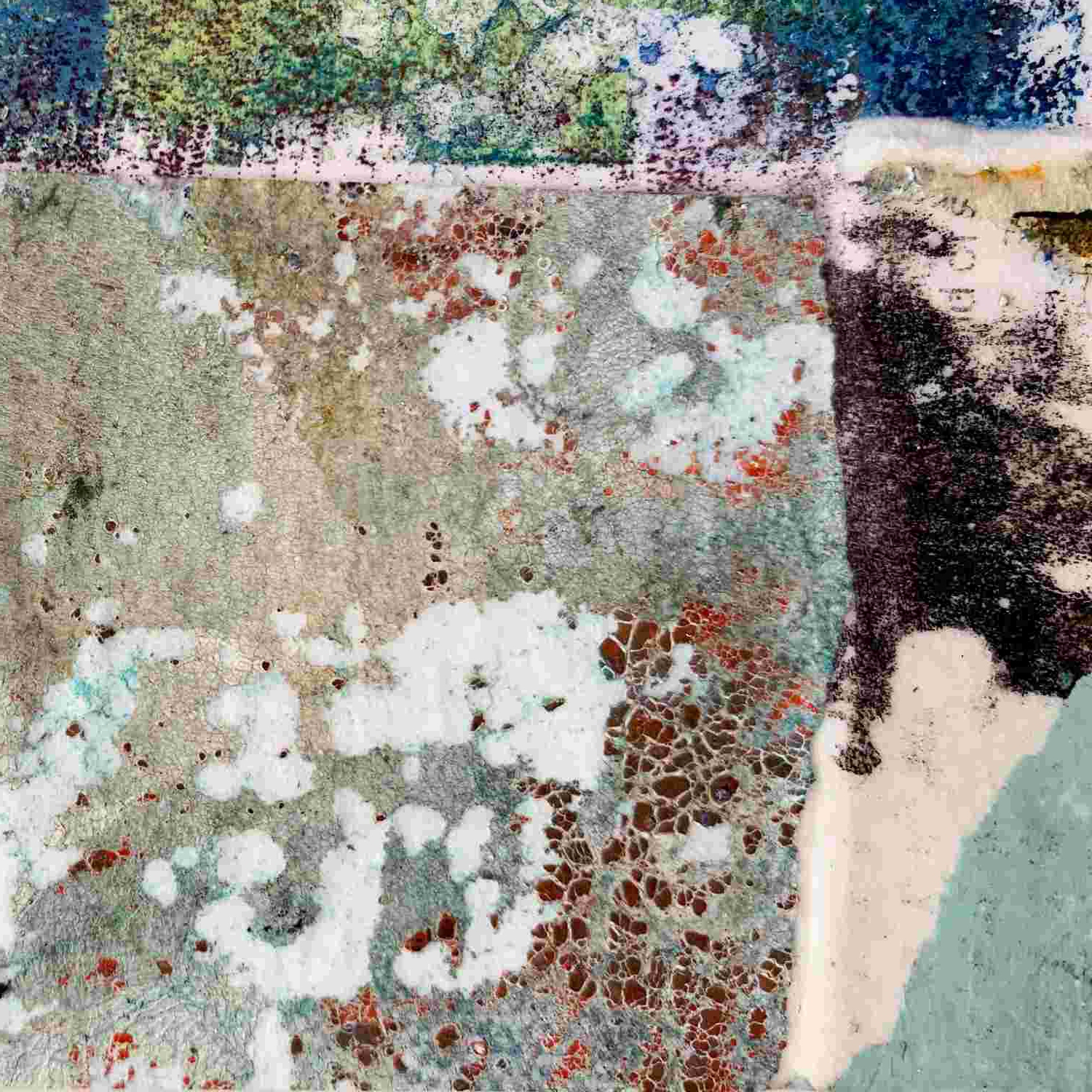 Lichen and Fern - Image 3