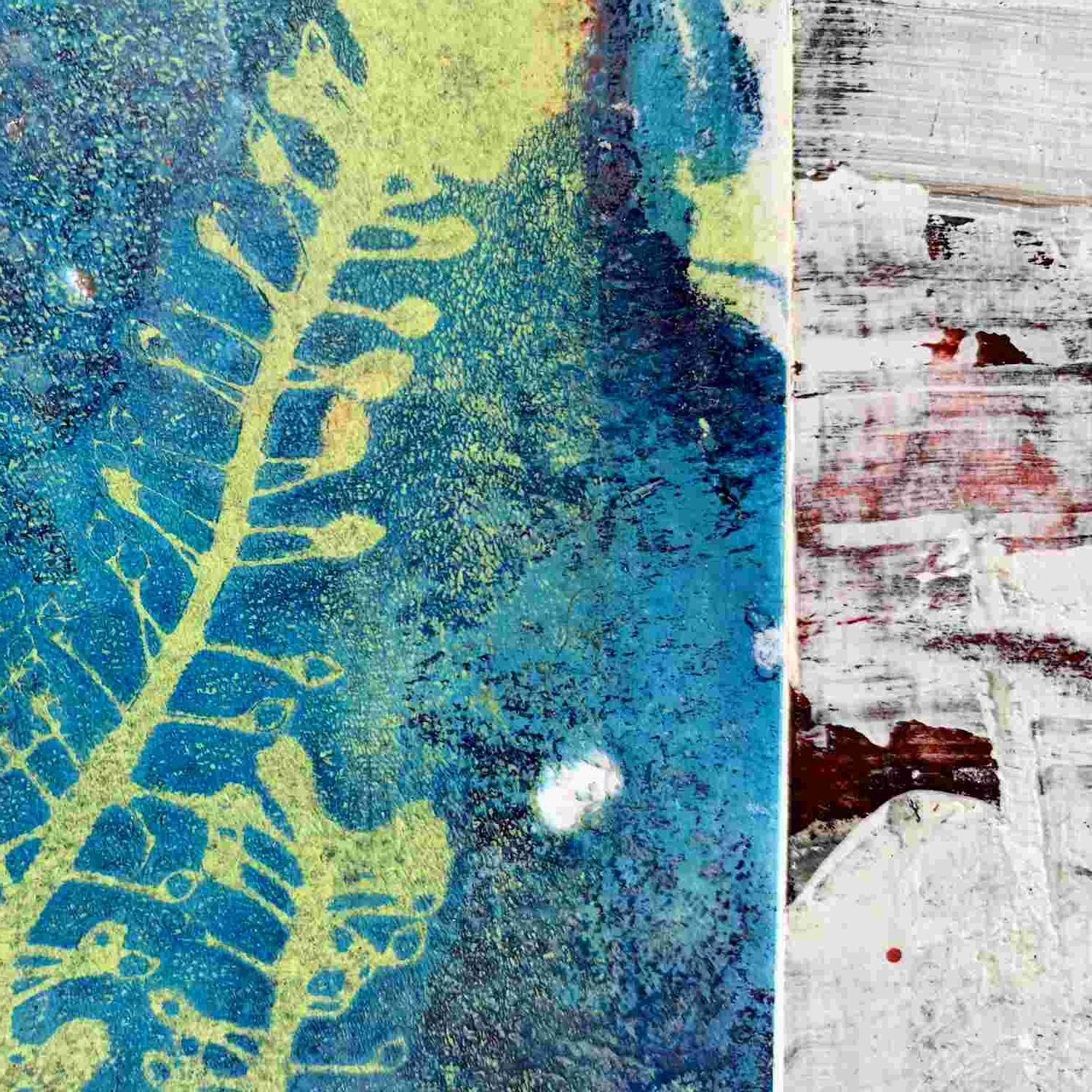Lichen and Fern - Image 4