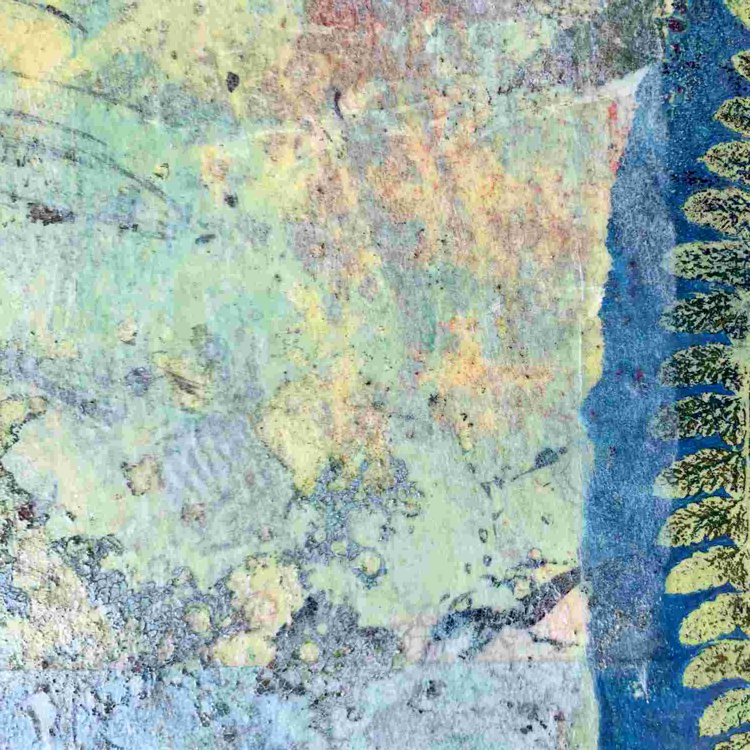 Lichen and Fern - Image 5
